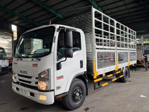 Alternative view of Xe tải Isuzu NQR 550 thùng bạt 5.7 tấn thùng 5.7m và 6.2m