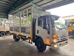 Xe tải Isuzu NQR 550 thùng bạt 5.7 tấn thùng 5.7m và 6.2m
