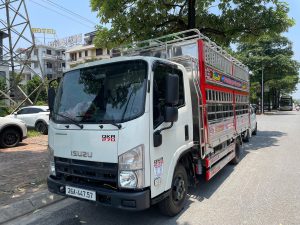 Alternative view of QKR270 chở gia súc ISUZU 2.3 tấn thùng 4.2m