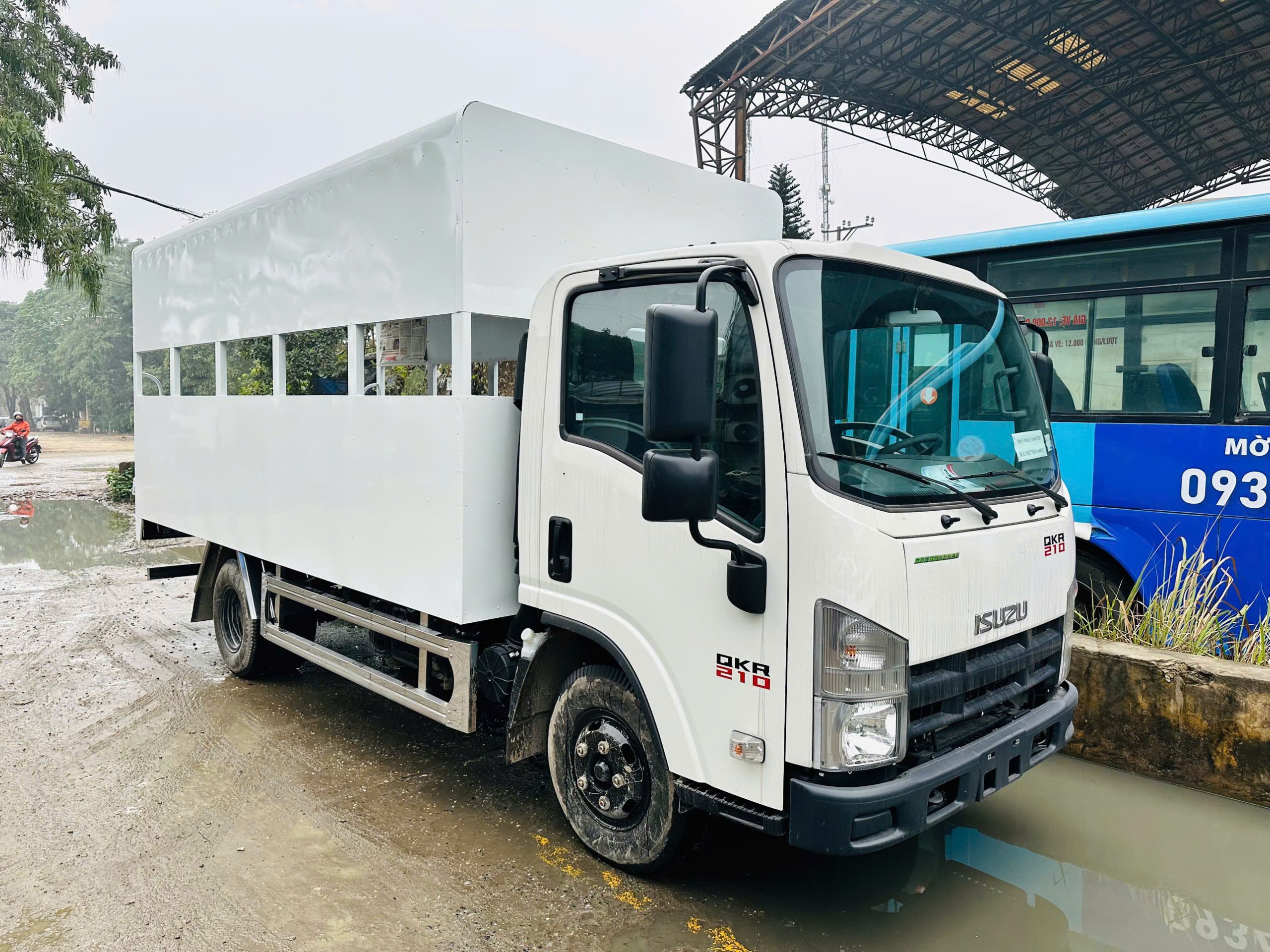 Xe tập lái isuzu hạng C C1 - xe sát hạch QKR210